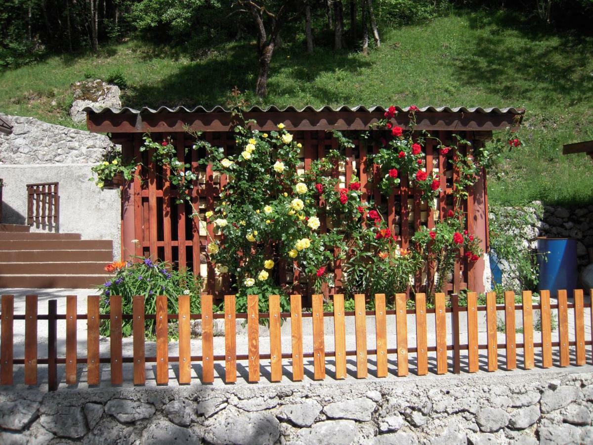 Apartmaji In Sobe Cuder Hotel Soča Buitenkant foto